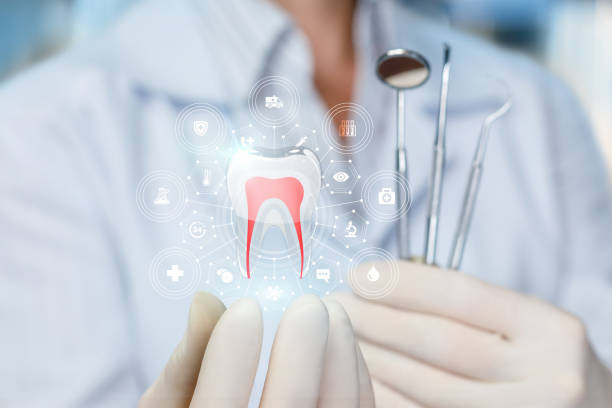 Best Dental Fillings (Composite and Amalgam)  in St Joseph, MI